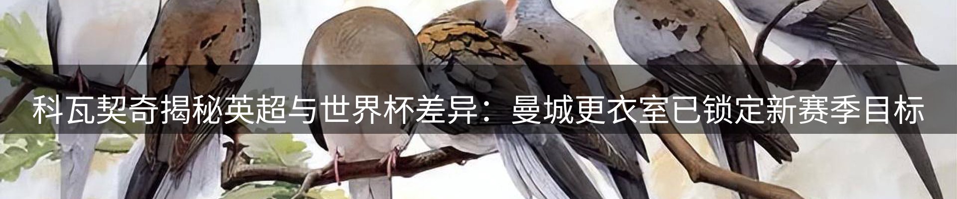 内页banner